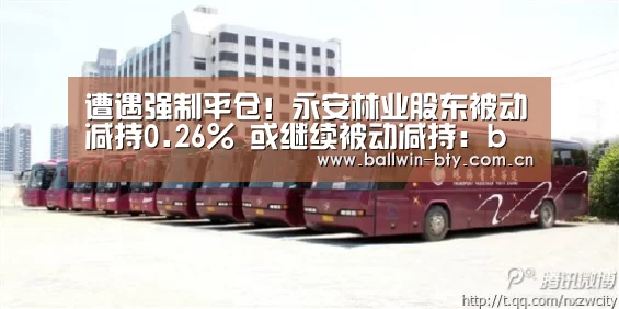 遭遇强制平仓！永安林业股东被动减持0.26% 或继续被动减持：b sports官网